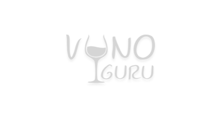 Vyno guru logo